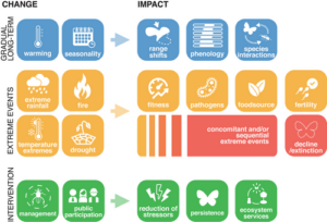 Read more about the article Klimaatverandering en insecten